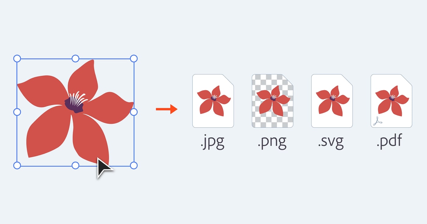 Adobe XD Export Guide & Best Converters