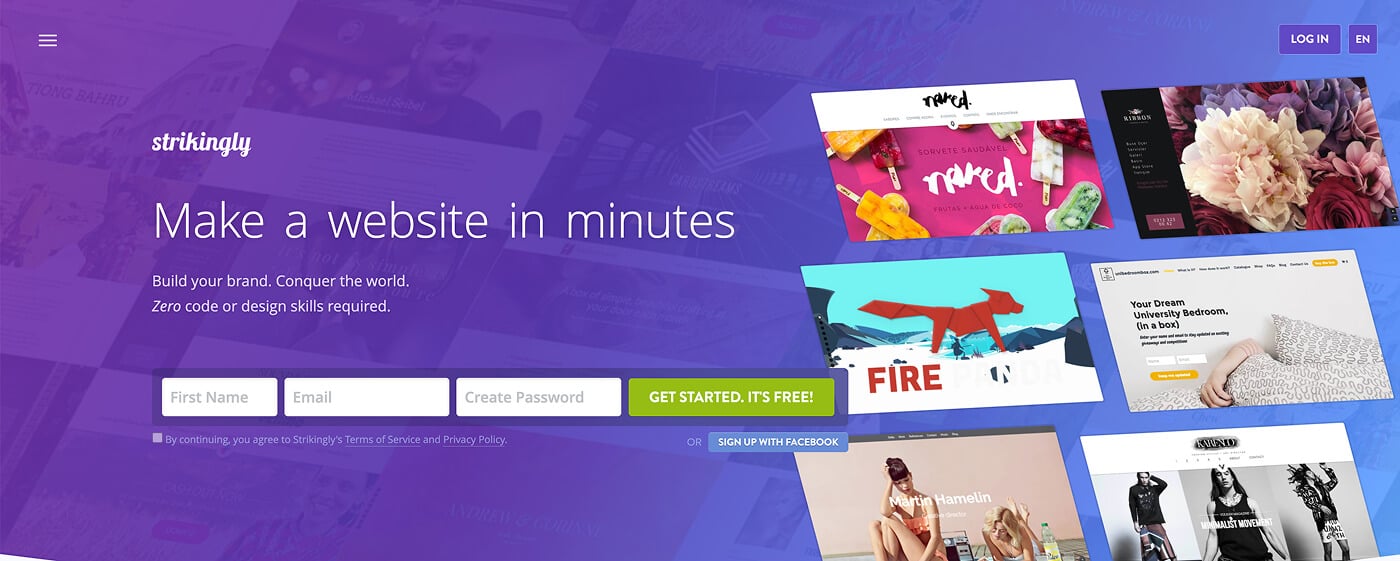 homepage strikingly