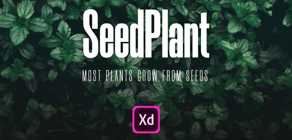 SeedPlant – Free Ecommerce XD UI Kit